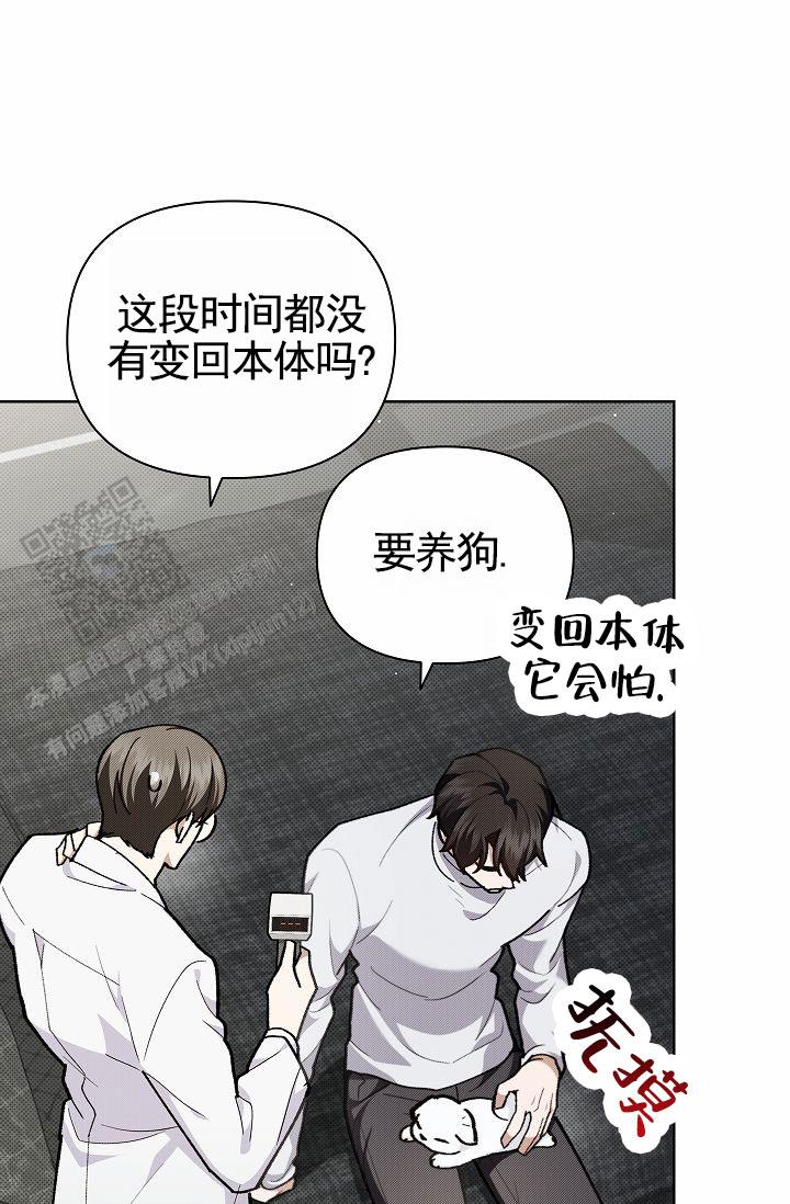 不要招惹小狗漫画全集免费阅读 第2张