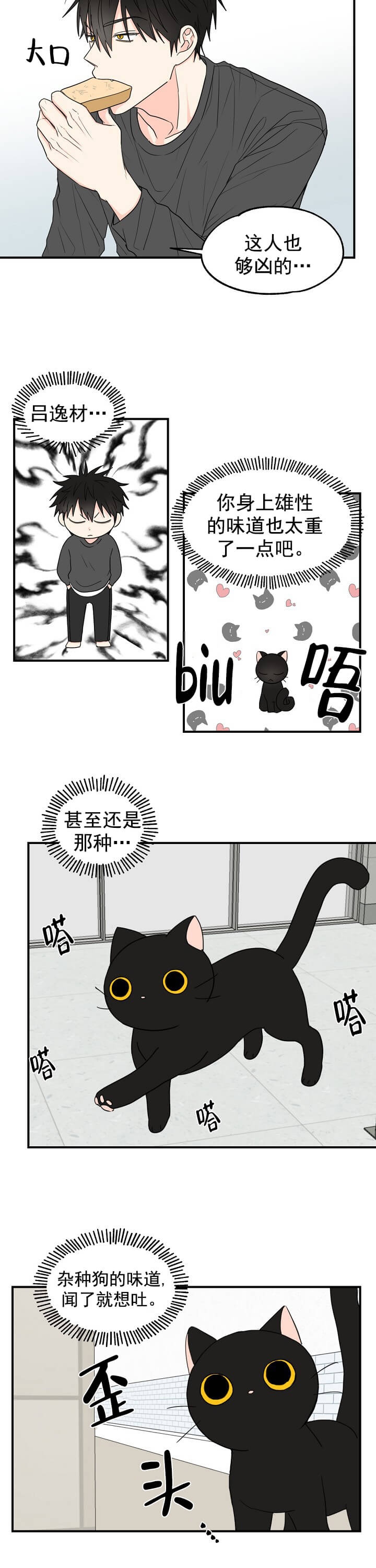 幸运从猫猫开始免费漫画完整版 第2张