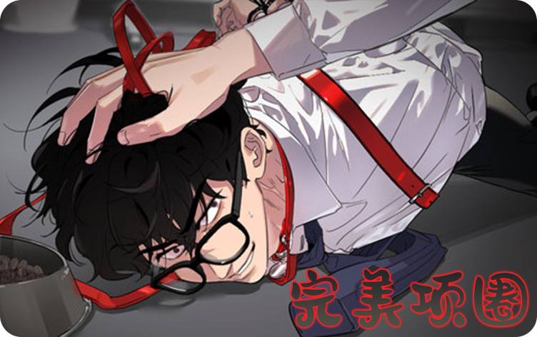完美项圈韩漫免费阅读最近更新 第1张