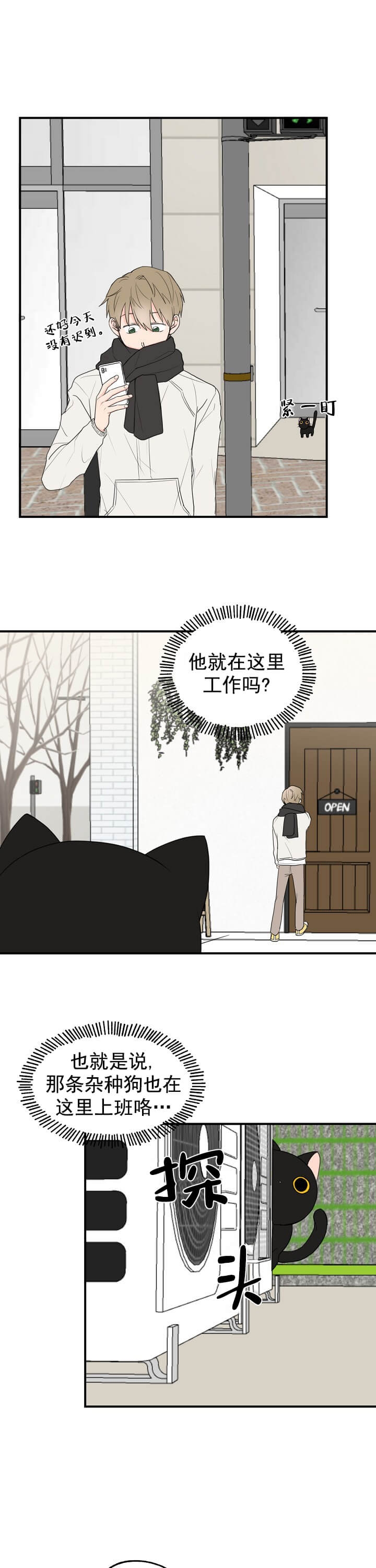 幸运从猫猫开始免费漫画完整版 第3张