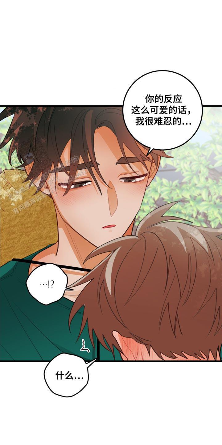 梨花盛开的爱为什么停播漫画无删版免费阅读全文 第4张